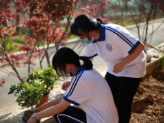 烟台经济技术开发区王懿荣高级中学开展中草药种植活动