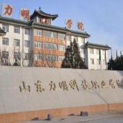 山东力明科技职业学院