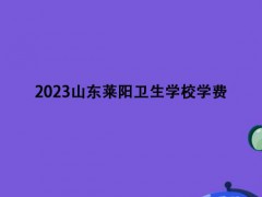 2023山东莱阳卫生学校学费